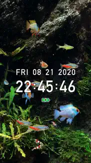 tropical fish tank - mini aqua iphone images 2