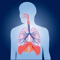 respiratory system quizzes logo, reviews