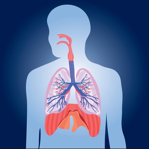 Respiratory System Quizzes app reviews download