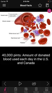 human anatomy blood facts 2000 iphone images 2