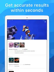 picture fish - reconocer peces ipad capturas de pantalla 2
