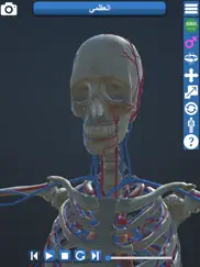 educational anatomy 3d ipad images 4