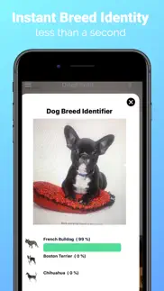 dogphoto - dog breed scanner iphone images 2