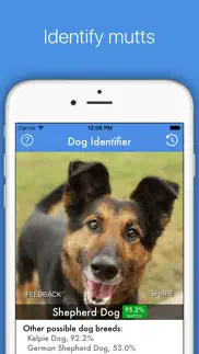 dog id - dog breed identifier iphone images 3