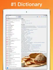 french translator dictionary + ipad images 1