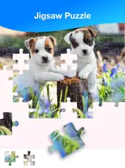 jigsaw puzzles now ipad resimleri 1