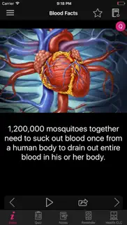 human anatomy blood facts 2000 iphone images 1