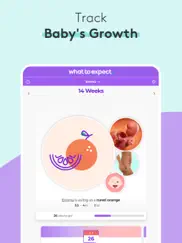 pregnancy & baby tracker - wte ipad images 1