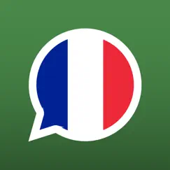 learn french with bilinguae logo, reviews