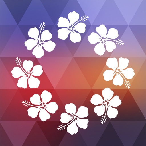 Oahu Offline Island Guide app reviews download