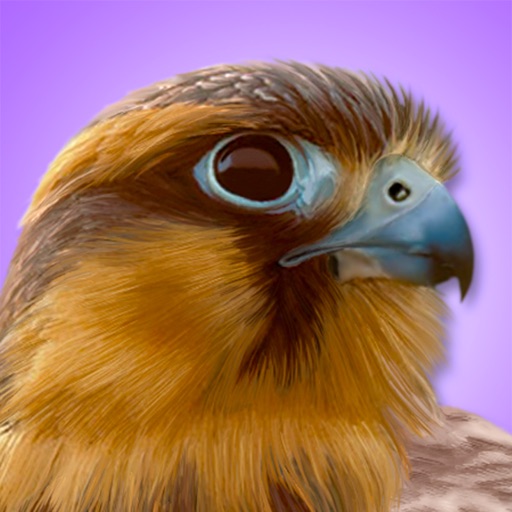iBird Pro Guide to Birds app reviews download