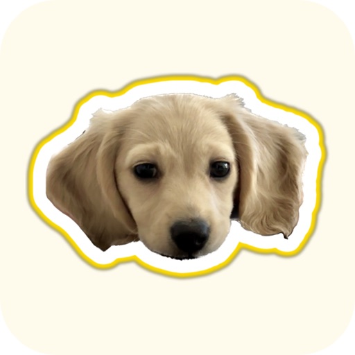 Fluff - Only Pets app reviews download