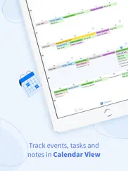 tiny planner - daily organizer ipad capturas de pantalla 2