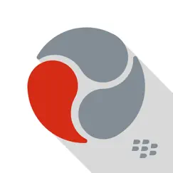 blackberry workspaces logo, reviews