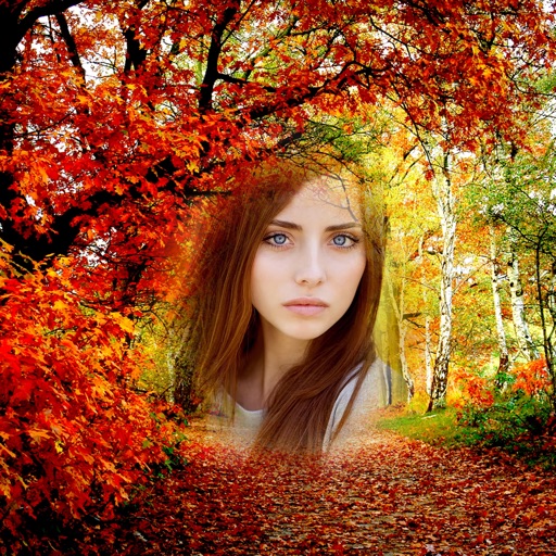 Fall in Love Photo Frames app reviews download