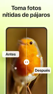 picture bird - reconocer aves iphone capturas de pantalla 3