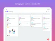 asana: work in one place ipad images 4