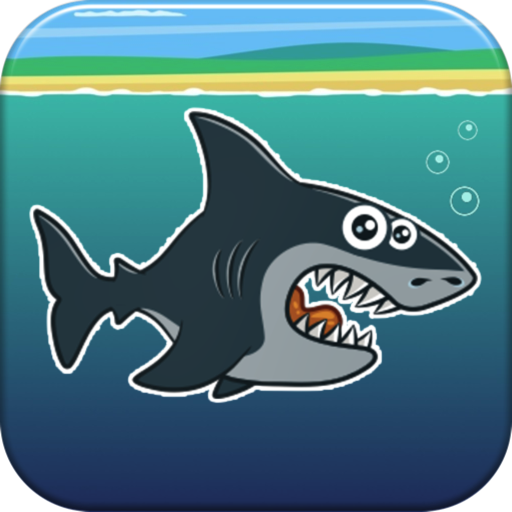 splashy sharky logo, reviews