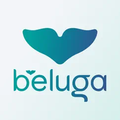 beluga kitchen logo, reviews