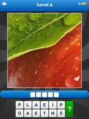 guess the close up - pics quiz iPad Captures Décran 4