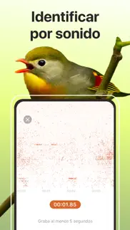 picture bird - reconocer aves iphone capturas de pantalla 4