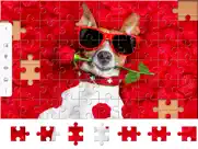 jigsaw puzzles explorer ipad images 4