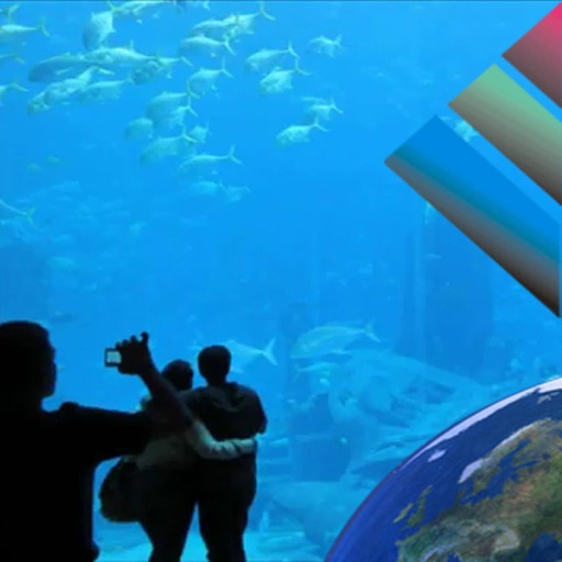 Aquarium Videos app reviews download