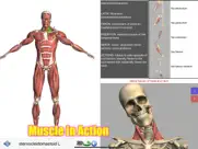 visual anatomy lite ipad images 1
