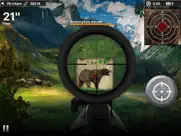 black bear target shooting ipad images 2