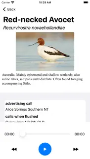 stewart australian bird calls iphone images 4