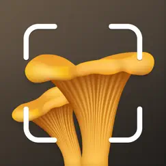 mushroom identification id logo, reviews