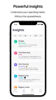nudget: spending tracker iphone images 2
