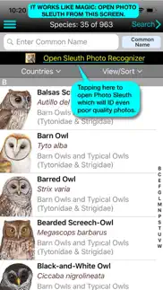 ibird ultimate guide to birds iphone images 2
