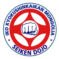 seiken dojo logo, reviews