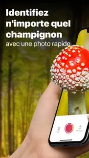 picture mushroom - champignon iPhone Captures Décran 1