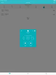 timesheet - time tracker iPad Captures Décran 4