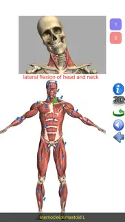 visual anatomy lite iphone images 1