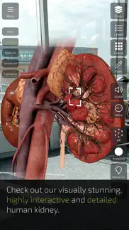 insight kidney iphone images 3