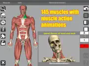 3d anatomy ipad resimleri 1