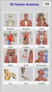 3d anatomy learning iphone resimleri 2