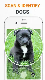 dog scanner dog breed photo id iphone resimleri 1
