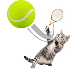 cat sports logo, reviews