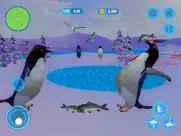 pingouin simulator arctic bird iPad Captures Décran 1