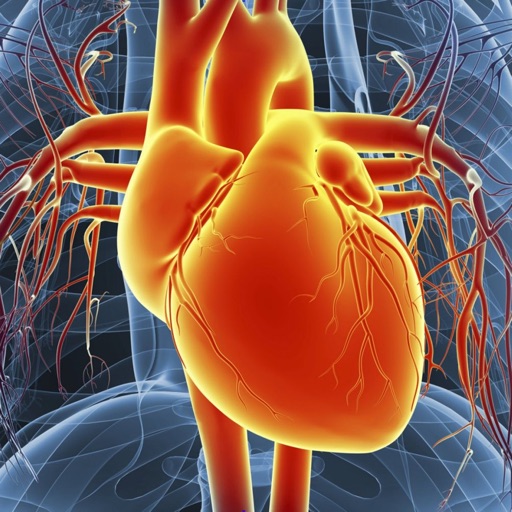 Circulatory System Flashcards app reviews download