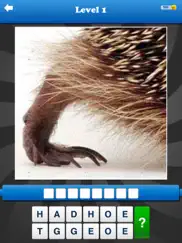 guess the close up - pics quiz iPad Captures Décran 2