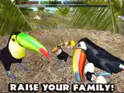 ultimate bird simulator ipad images 4