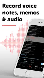alon dictaphone-voice recorder iphone images 1