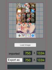 pixel resizer: custom metadata ipad images 1