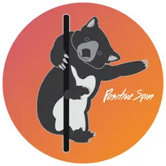 positive spin pole dance logo, reviews
