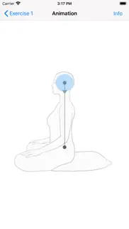 meditation - 5 basic exercises iphone images 3